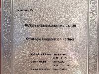 ABB strategic partner ABB