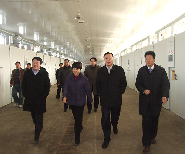 市委副書(shū)記、市長(cháng)調研